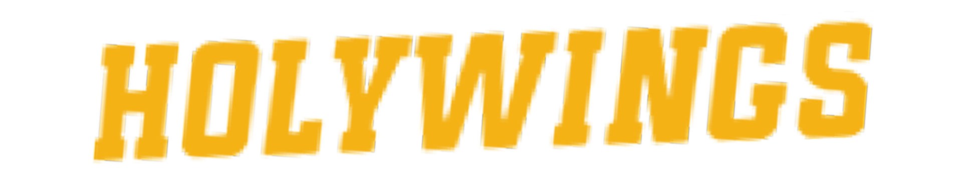 HOLYWINGS